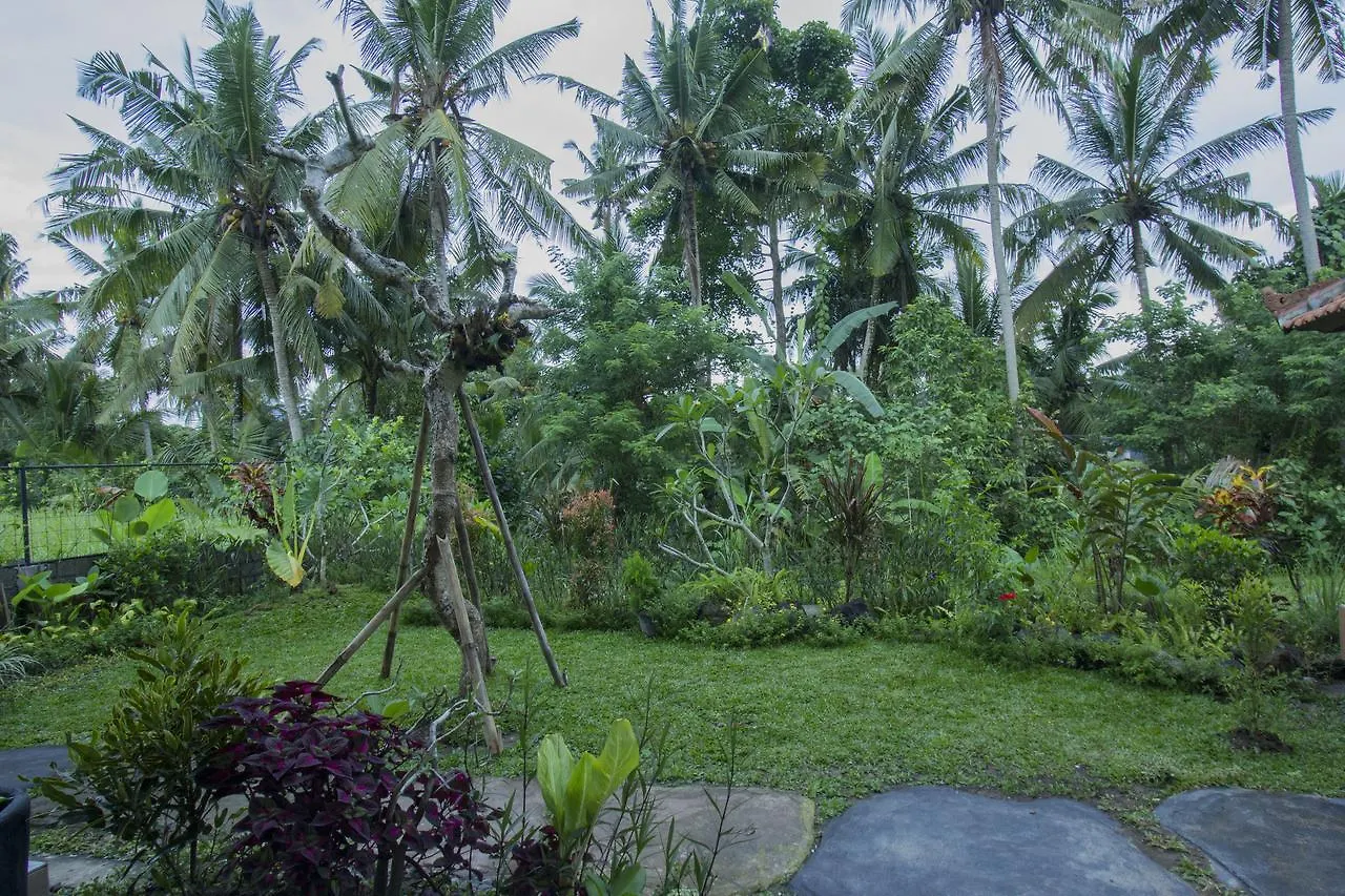 Pensión Vinayaka Ubud